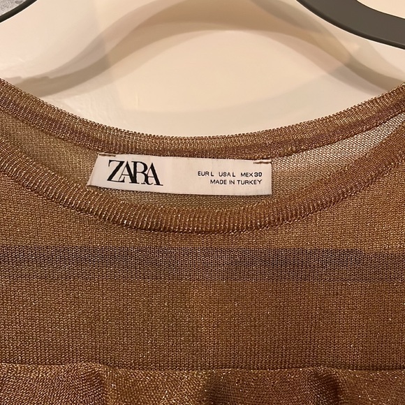 ZARA | Cropped Ruffled & Sheer Metallic Top - Picture 6 of 6